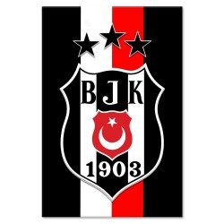 Beşiktaş Kanvas Baskı (Model:02)