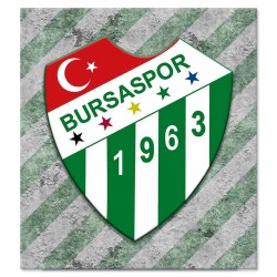 Bursaspor Kanvas Baskı (Model:01)