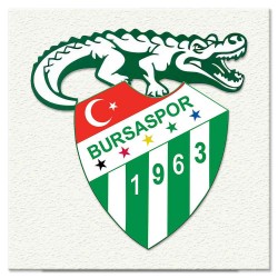 Bursaspor Kanvas Baskı (Model:02)