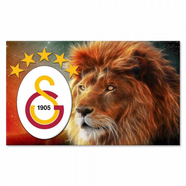 Galatasaray Kanvas Baskı (Model:01)