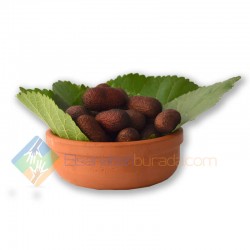 Kahverengi İpek Kozası