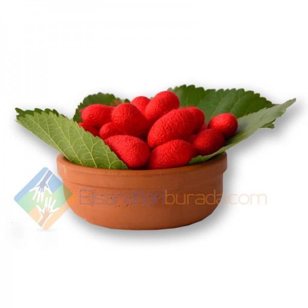 Kırmızı İpek Koza