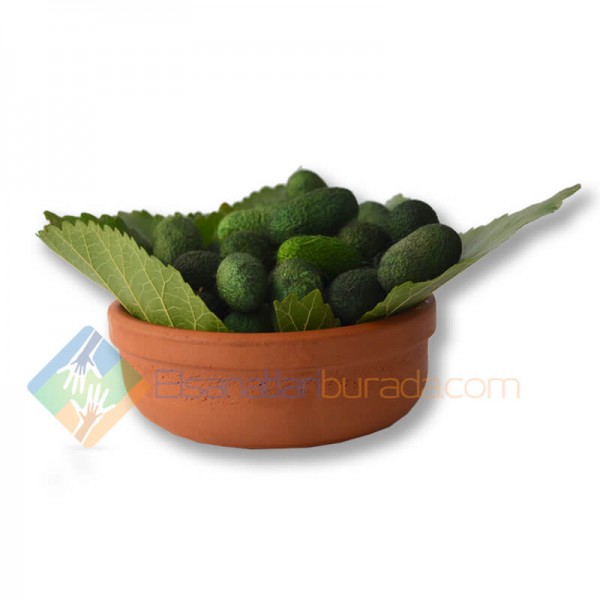 Koyu Yeşil İpek Koza