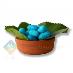 Turkuaz İpek Kozası